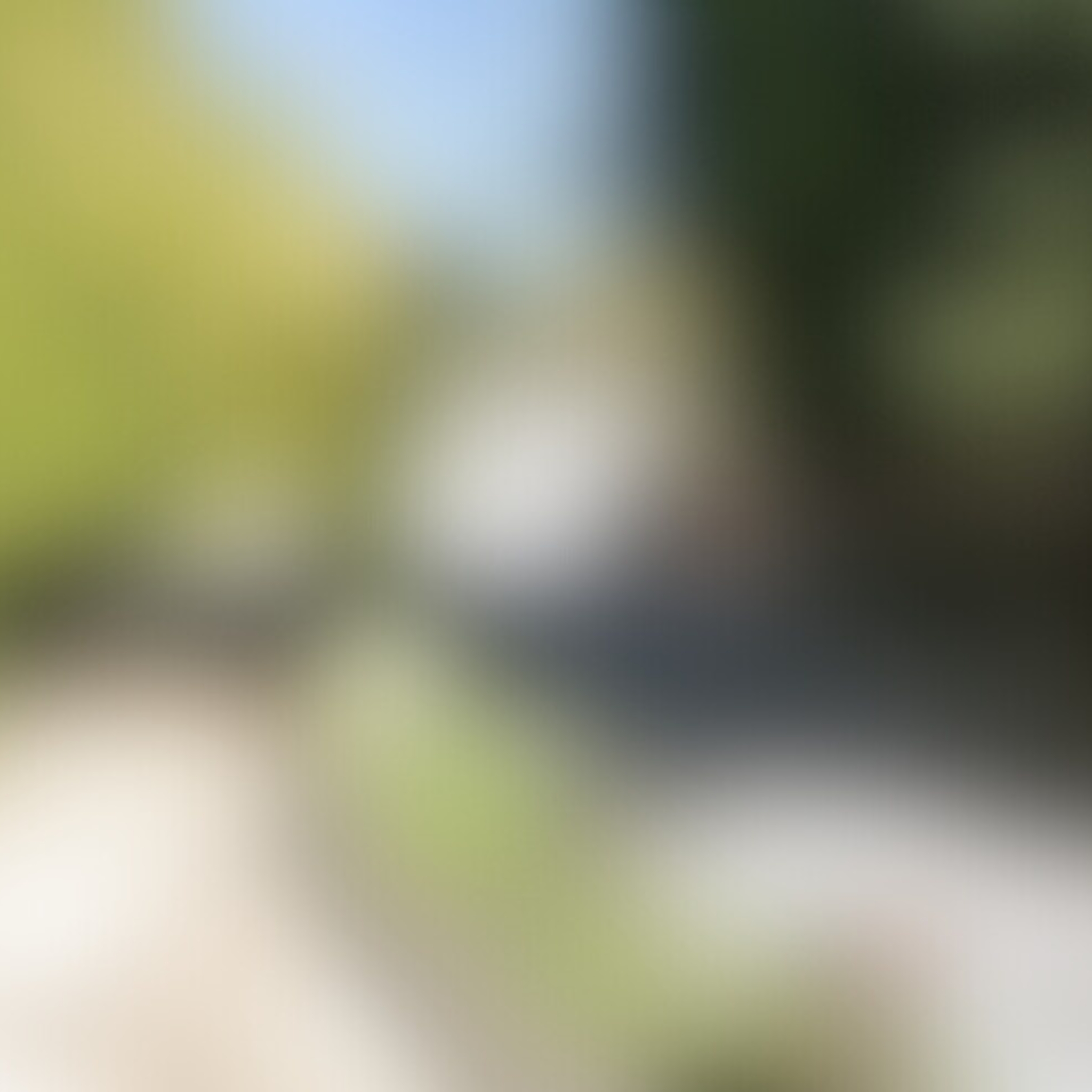 1 (25)